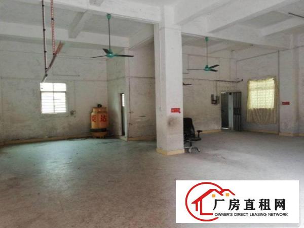  蕉利工业区新出小独栋厂房380平米带办公室装修出租