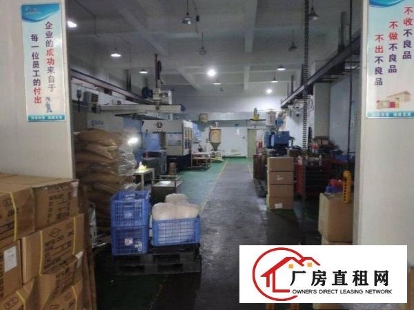  马沥空出精装修标准厂房一楼厂房1000平方