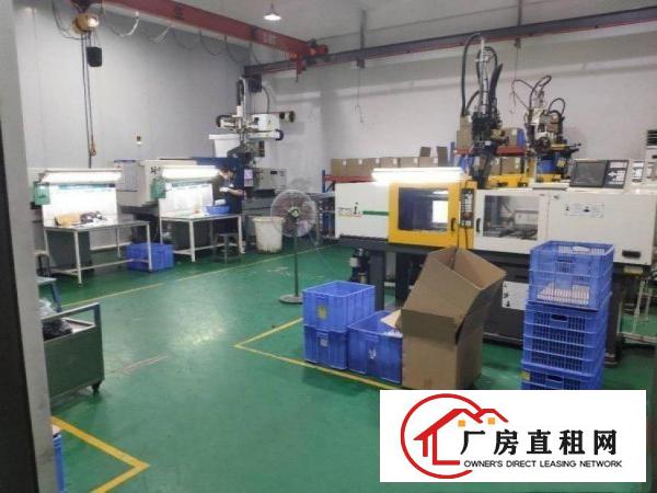  马沥空出精装修标准厂房一楼厂房1000平方