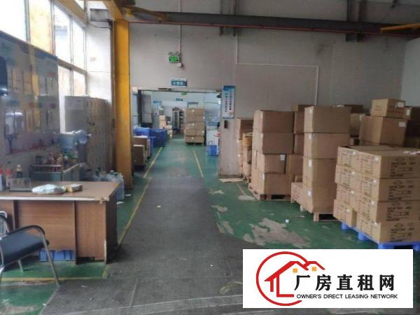 马沥空出精装修标准厂房一楼厂房1000平方