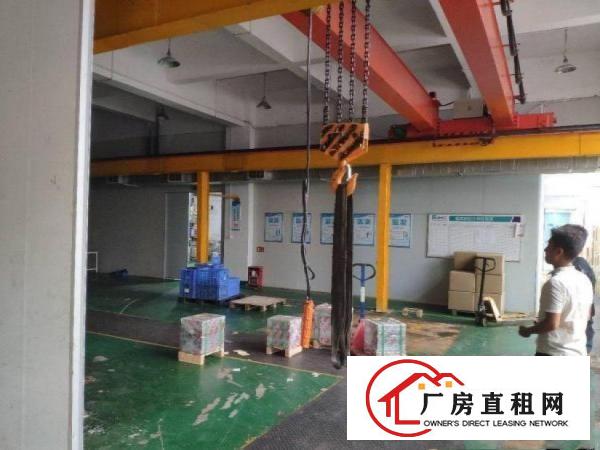  马沥空出精装修标准厂房一楼厂房1000平方