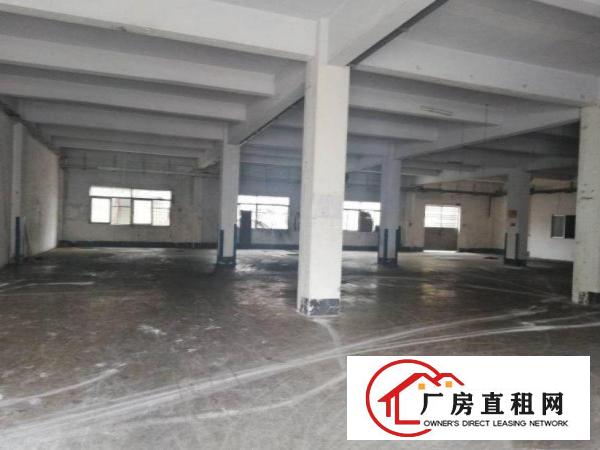  槎滘工业区原房东一楼标准厂房1000平米带装修出租