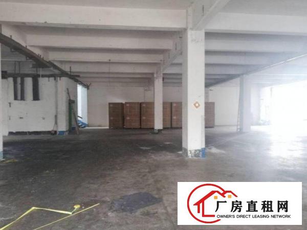  槎滘工业区原房东一楼标准厂房1000平米带装修出租