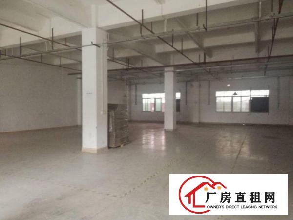  吴家涌工业区新出原房东标准厂房一楼800平米出租形象好