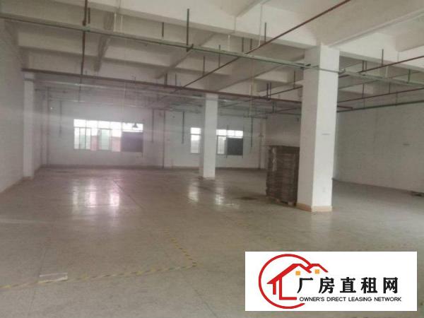  吴家涌工业区新出原房东标准厂房一楼800平米出租形象好