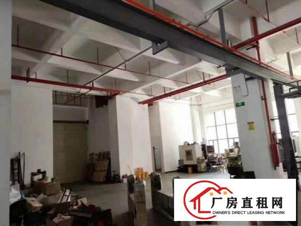  东泊工业区厂房招租一楼实际面积1420平方带精装水电