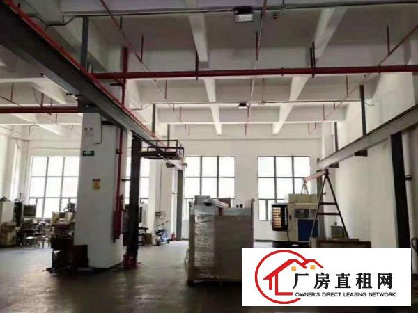  东泊工业区厂房招租一楼实际面积1420平方带精装水电