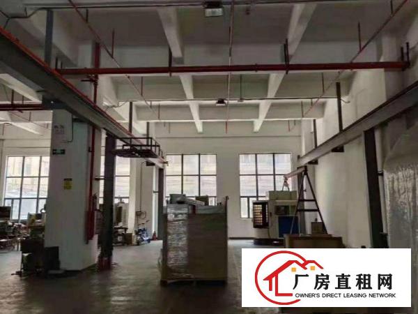  东泊工业区厂房招租一楼实际面积1420平方带精装水电