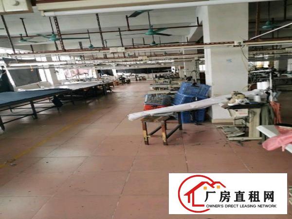  江南西区五层厂房出租，12元/方