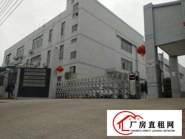  四乡高大上厂房新出标准一楼厂房1000平方
