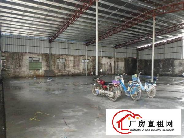  东向单一层独院850平方厂房出租