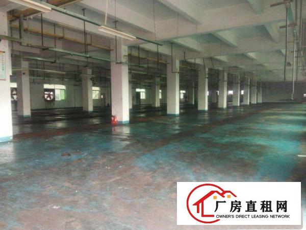  三涌工业区独院厂房每层面积1280平米1楼高6米可分租