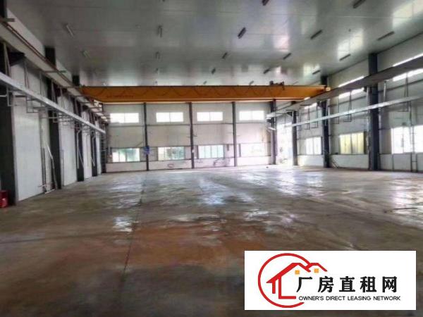  下芦工业区独院单一层厂房出租1000，滴水8米，带行车