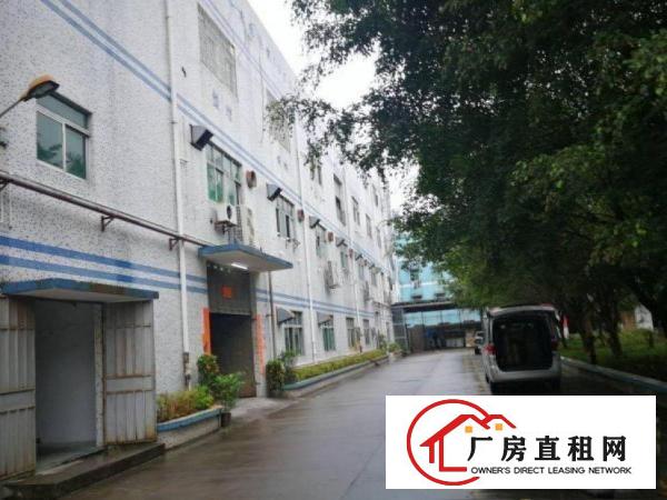  蕉利工业区厂房一楼700平，原房东，可办环评