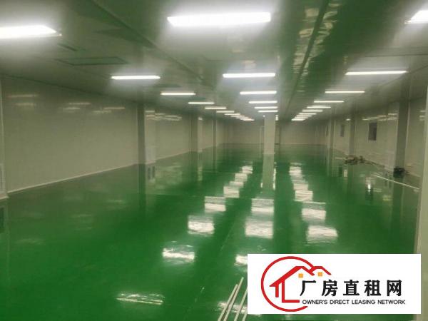  4000无层车间原房东厂房