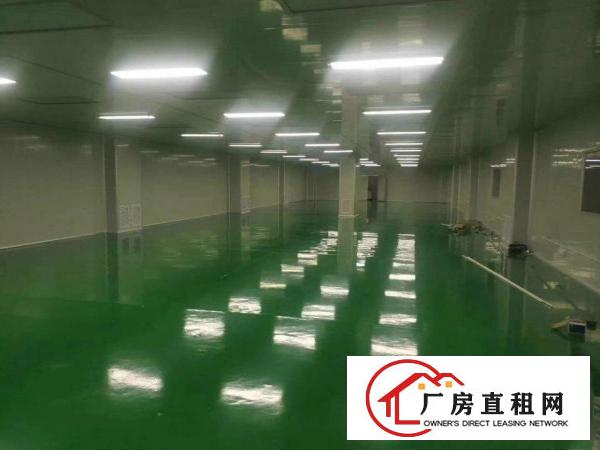  4000无层车间原房东厂房