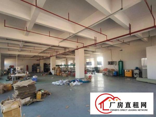  三涌刚空出楼上1000平方厂房，全新地坪漆精装修，水电齐全