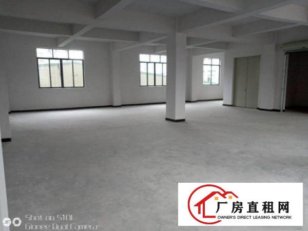  槎滘工业区新出一楼386平原房东，可办环评，价格实惠