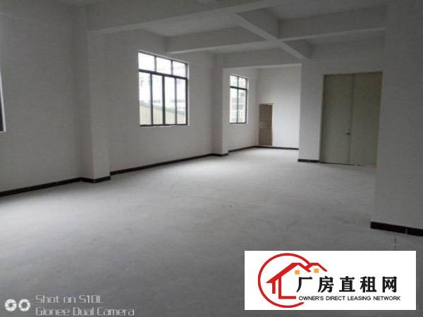  槎滘工业区新出一楼386平原房东，可办环评，价格实惠
