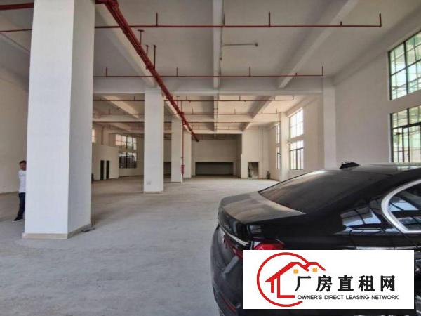  东向工业区全新标准一楼1200平高度7米可分租