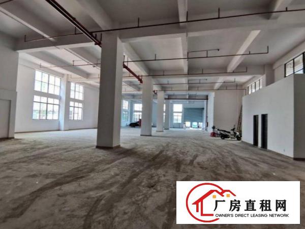  东向工业区全新标准一楼1200平高度7米可分租
