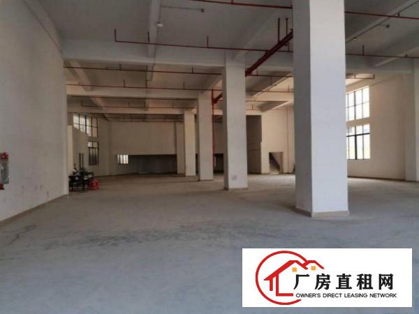  东向工业区全新标准一楼1200平高度7米可分租