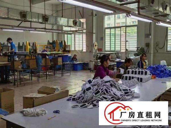 蕉利工业区独门独院原房东一楼1000平招租可办环评