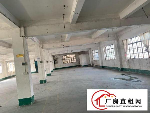  一手房源二层半厂房