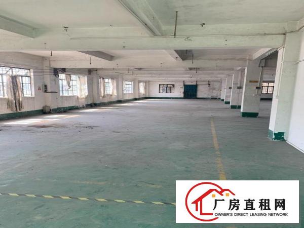  一手房源二层半厂房