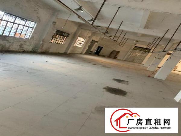  一手房源二层半厂房