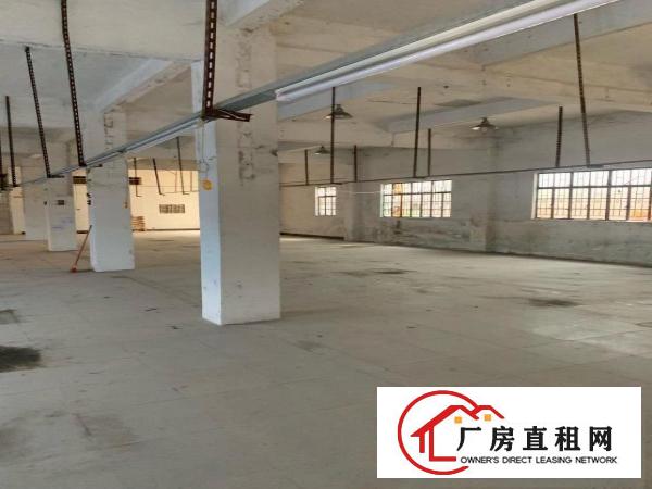  一手房源二层半厂房