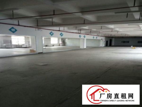  中堂标准一楼厂房700或90000㎡出租(配套齐全