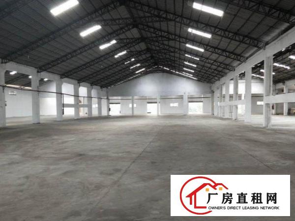  中堂新出钢结构单一层2000平方厂房出租带牛角