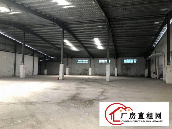  中堂107国道附近单一层独栋钢构3500平米出租可进大车，周