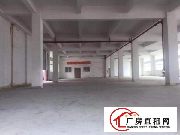  潢涌分租一楼厂房400平带装修消防有证，原房东