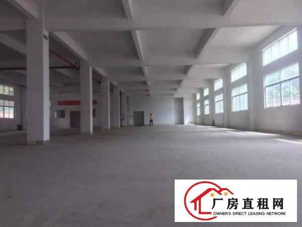  潢涌分租一楼厂房400平带装修消防有证，原房东