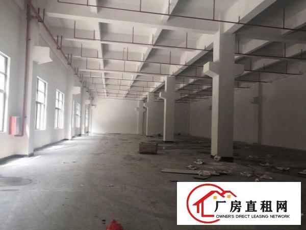  红锋新出一楼花园式精装厂房1200平出租