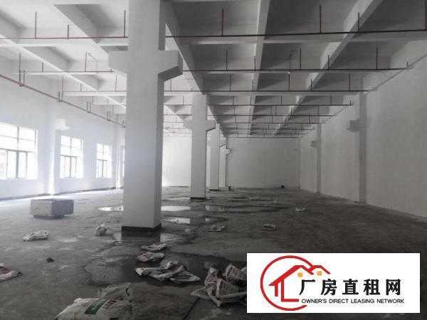  红锋新出一楼花园式精装厂房1200平出租