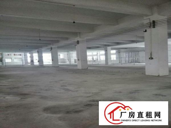  中堂花园式厂房分租一楼1000平方出租现成的水电和消防设施，