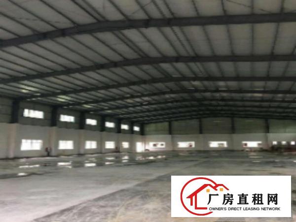  中堂独院单一层9米高2500平方厂房仓库出租形象好，交通方便
