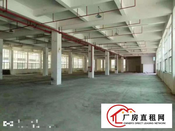  中堂一楼厂房出租10001500、2000平方出租消防水电