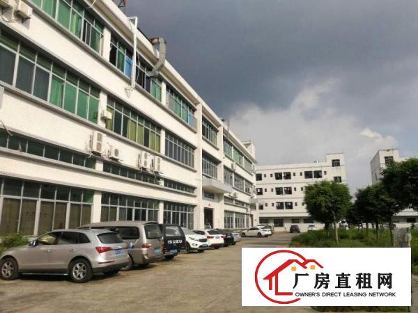  中堂工业区独院标准一楼1000平米厂房出租水电线路消防设施齐