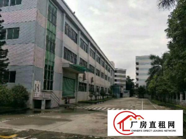  中堂标准厂房分租一楼1500平方米出租空地大，有现成的水电和