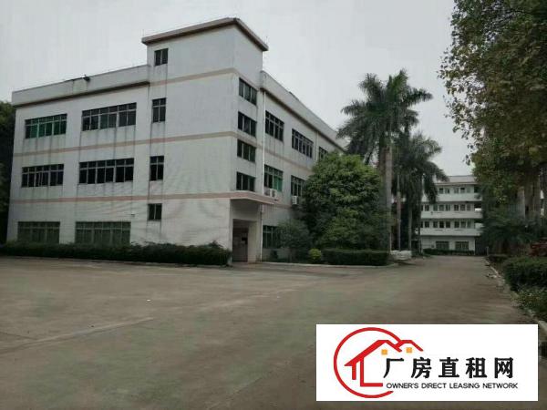  中堂原房东标准厂房二楼3000平方只租12元/平方