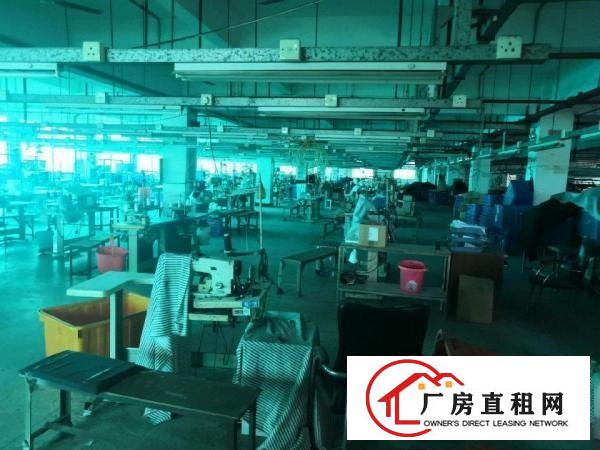  中堂潢涌3800带现成制衣线路厂房出租