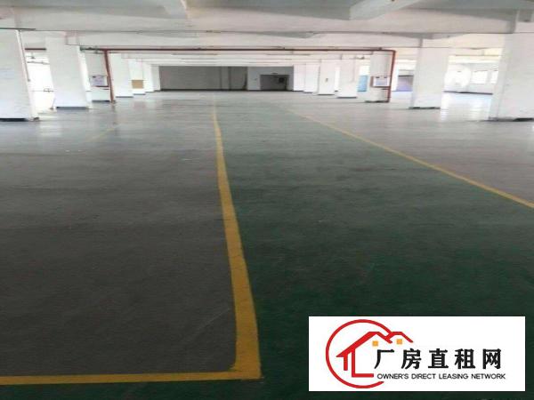  中堂原房东厂房土地租售信息大全