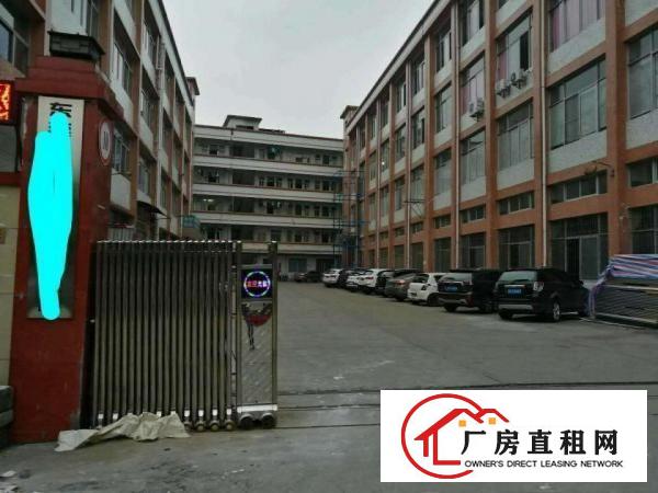  中堂原房东厂房土地租售信息大全