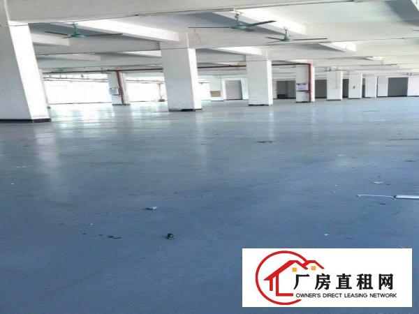  中堂原房东厂房土地租售信息大全