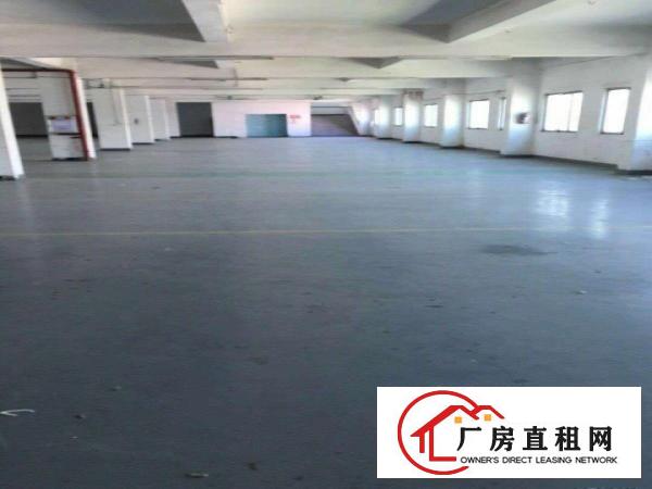  中堂原房东厂房土地租售信息大全
