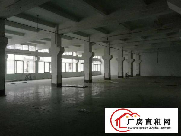  中堂原房东厂房土地租售信息大全